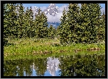 Drzewa, Rzeka, Góry, Chmury, Park Narodowy Grand Teton, Wyoming, Stany Zjednoczone