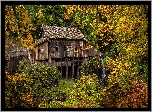 Jesień, Młyn Cedar Creek Grist Mill, Rzeka, Drzewa, Las, Woodland, Stan Waszyngton, Stany Zjednoczone