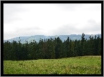 Gubałówka, Polana