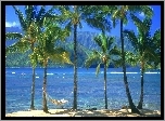 Hawaje, Kauai, Woda, Palmy, Hamak