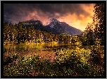 Jezioro Hintersee, Powiat Berchtesgadener, Bawaria, Niemcy, Góry, Drzewa
