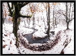 Zima, Park Narodowy Gorbea, Las, Drzewa, Rzeka, Kraj Basków, Hiszpania