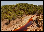 Hiszpania, Rzeka, Tinto, Las, Drzewa