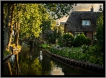 Rzeka, Dom, Most, Drzewa, Giethoorn, Prowincja Overijssel, Holandia