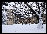 Zima, Hotel, Restauracja