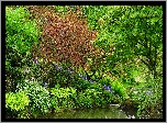 Anglia, Hrabstwo Gloucestershire, Park Sezincote, Staw, Drzewa