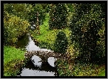 Anglia, Hrabstwo Derbyshire, Bakewell, Park, Mosty, Rzeka