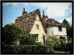 Hrabstwo, Suffolk, Domy, Ogrody