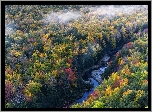 Stany Zjednoczone, Stan Michigan, Hrabstwo Ontonagon, Rzeka Carp River, Jesień, Las, Drzewa, Rzeka, Mgła
