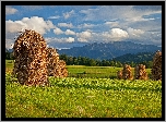 Łąka, Farmy i pola, Snopki, Siano, Słoneczny, Blask, Podhale, Góry, Tatry, Polska