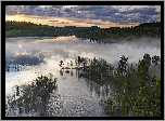 Jezioro Inari, Lasy, Drzewa, Mgła, Laponia, Finlandia