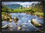 Rzeka Poulanass, Kamienie, Wieże, Dolina Glendalough, Hrabstwo Wicklow, Irlandia