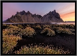 Islandia, Góry, Góra Vestrahorn, Plaża, Czarny, Piasek, Trawa, Kępki