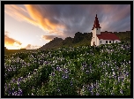 Kościół, Łąka, Łubin, Góry, Chmury, Vik i Myrdal, Islandia