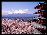 Japonia, Budowla, Góra, Fuji-San