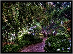 Japoński, Park, Kalifornia, USA