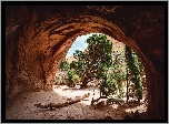 Jaskinia, Skały, Drzewa, Sosny, Park Narodowy Arches, Utah, Stany Zjednoczone