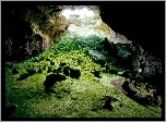 Jaskinia, Zwiedzanie