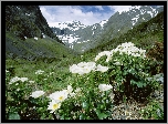 Jaskry, Wysokogórskie, Góry, Fjordland National Park