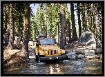 Jeep, Wrangler, Las, Bagna, Kamienie