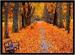 Jesień, Park, Aleja, Ławki