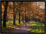 Jesień, Park, Droga, Drzewa, Alejka, Trawa