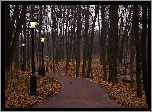 Jesień, Park, Alejka, Latarnie