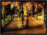 Jesień, Park, Dróżki, Alejki, Drzewa