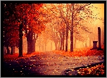 Jesień, Park, Alejki, Drzewa