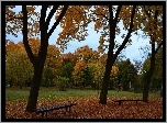 Jesień, Drzewa, Ławeczki, Liście