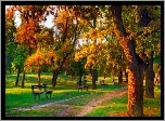Jesień, Drzewa, Ławka, Park