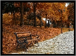 Jesień, Park, Ławka, Aleja