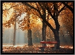 Jesień, Park, Ławka, Mgła