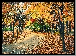 Jesień Park, Drzewa, Ławki, Liście