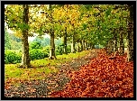 Jesień, Park, Liście, Ławki, Alejka