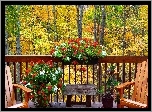 Jesień, Las, Balkon, Kwiaty