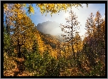 Jesień, Góry, Las, Mgła, Ścieżka, Drzewa
