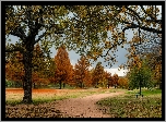 Jesień, Drzewa, Park, Ścieżka, Ławka