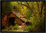 Jesień, Las, Drzewa, Domek, Chatka
