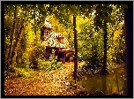 Jesień, Park, Staw, Drewniana, Budowla