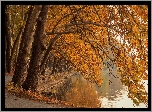 Jesień, Park, Staw, Droga, Drzewa