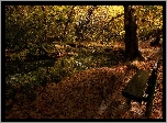 Jesień, Park, Ławka, Drzewa, Staw