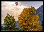 Drzewa, Jesień, Balon