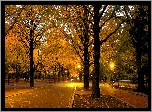 Jesień, Park, Droga, Drzewa, Latarnie