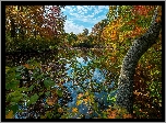 Jesień, Jezioro, Drzewa, Rośliny