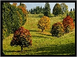 Jesień, Kolorowe, Drzewa, Wzgórze