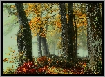 Jesień, Las, Drzewa, Mgła