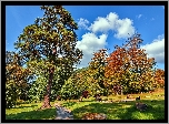 Jesień, Park, Drzewa, Ścieżka