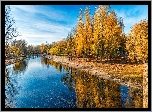 Jesień, Rzeka, Drzewa, Odbicie
