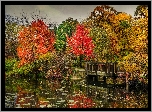 Jesień, Park, Staw, Drzewa, Liście